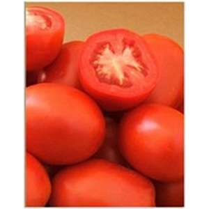 Арте F1 - томат детерминантный, 1000 семян, May Seed (Турция) фото, цена